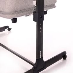 Lorelli Milano Pink 2-in-1 Wieg Aan Bed 1008044-0001 -Winkel Voor Babyproducten lorelli milano 2 in 1 wieg aan bed 2