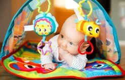 Playgro Honey Bee Bear Activity Tunnel Speelkleed P0186992 -Winkel Voor Babyproducten playgro honey bee bear activity tunnel speelkleed p0186992 8