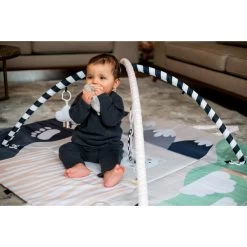 Tryco Polar Bear Pete 2-in-1 XL Speelkleed En Opbergtas TR-140208 -Winkel Voor Babyproducten tr 140208 tryco polar bear pete playmat bag in 1 11