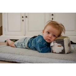 Tryco Fantasie Activiteitenkubus TR-243340 -Winkel Voor Babyproducten tr 243340 activity cube fantasy 03