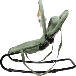 Tryco Lion Leo Groen Wipstoel TR-272703 -Winkel Voor Babyproducten tryco lion leo green wipstoel tr 272703 3